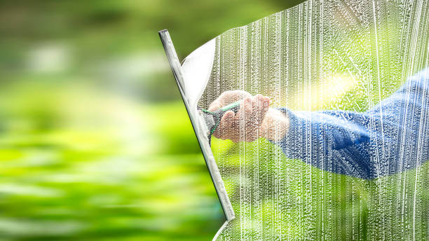 Exterior Window Cleaning